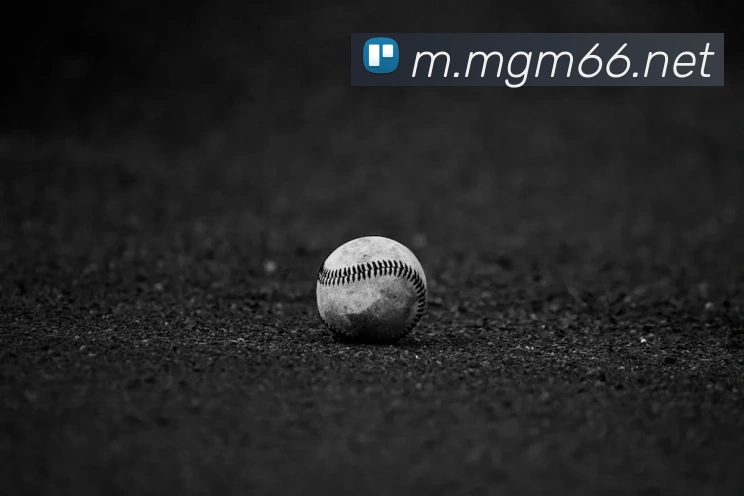 美高梅mgmAPP 封面图